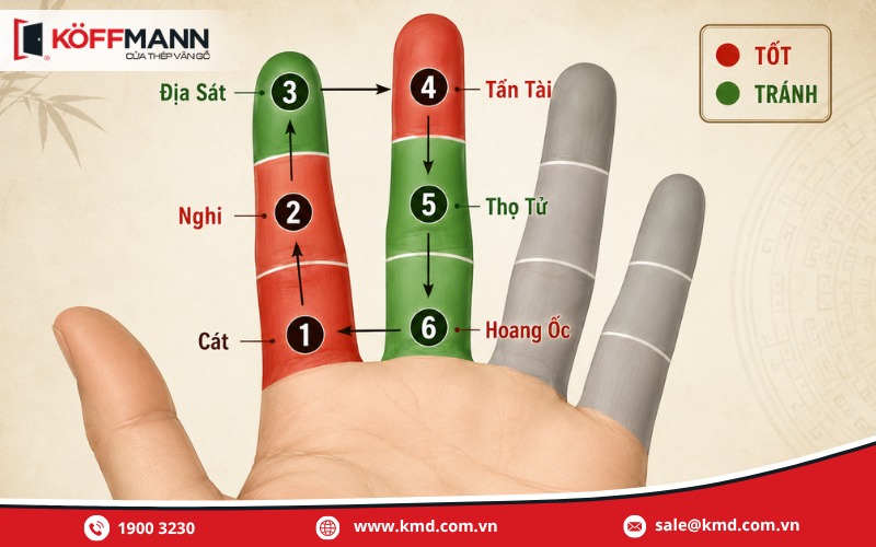 Hướng dẫn cách tính tuổi hoang ốc trên bàn tay
