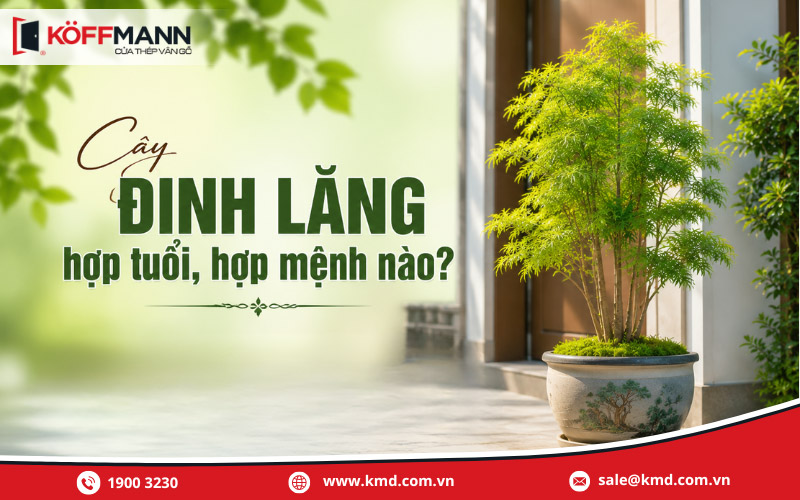 Cây đinh lăng hợp tuổi, hợp mệnh nào?