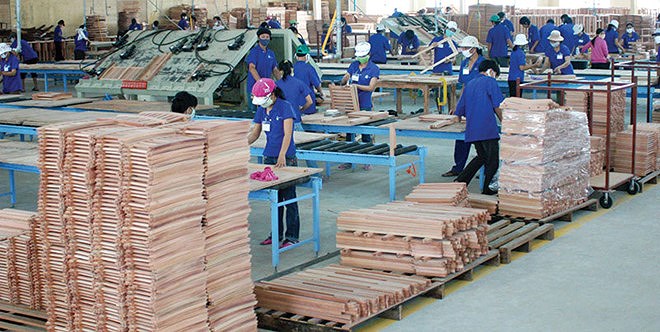 nhà máy sản xuất gỗ