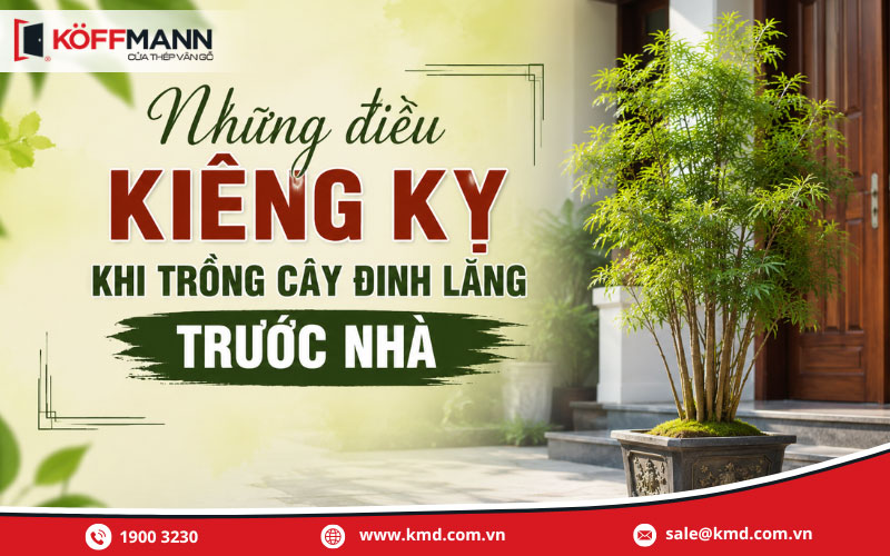 Những điều kiêng kỵ khi trồng cây đinh lăng trước nhà