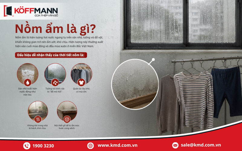Nồm ẩm là gì?
