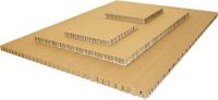 Honeycomb Paper Là Gì? Ứng Dụng Của Honeycomb Paper