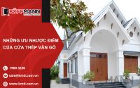 [Giải Đáp] Ưu Nhược Điểm Cửa Thép Vân Gỗ Chi Tiết Nhất