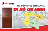 Nơi mua cửa thép vân gỗ tại Hồ Chí Minh uy tín, chất lượng