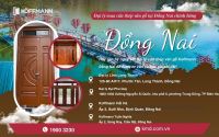 Địa chỉ mua cửa thép vân gỗ tại Đồng Nai [ UY TÍN, CHẤT LƯỢNG]